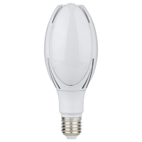 42W LED Light Bulb E40 Screw (4000K)